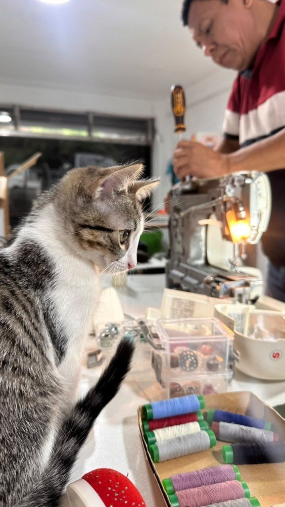 Técnico reparando una máquina de coser en el taller de GALO Atelier, El Salvador